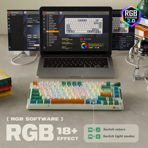 Image of RK ROYAL KLUDGE H81 Hot-Swap Mechanical Keyboard 75% Wireless Gaming Keyboard with Triple Mode 2.4GHz BT5.1 /USB-C Switch with RGB Speed Sliver Switch, US Layout 81 Keys