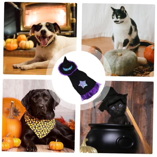Disfraz de mago para perro talla L Halloween miniatura 4