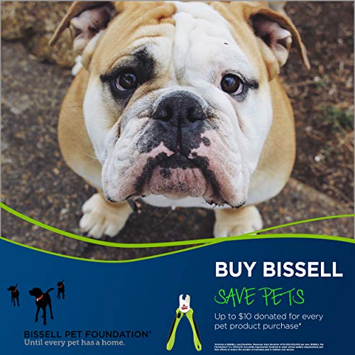 BISSELL-Cat-Dog-Nail-Clippers-Trimmer-with-Safety-Guard-and-File-for-Large-and-Small-Animal-Grooming-2055A