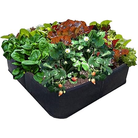 Amazon Com Victory 8 Fabric Raised Bed 2 Ft X 2 Ft Garden Green Gardening Raised Bed Aeroflow Fabric Pot Ez Gro Square Garden Outdoor