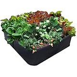 4 ft X 4 ft Victory 8 EZ-GRO Raised Garden Bed Big Square Grow Your OWN No Assembly