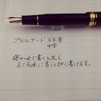 【新品未使用】セーラー万年筆 万年筆 プロムナード シャイニングブルー 中細 Amazon | セーラー万年筆 万年筆 プロムナード シャイニング