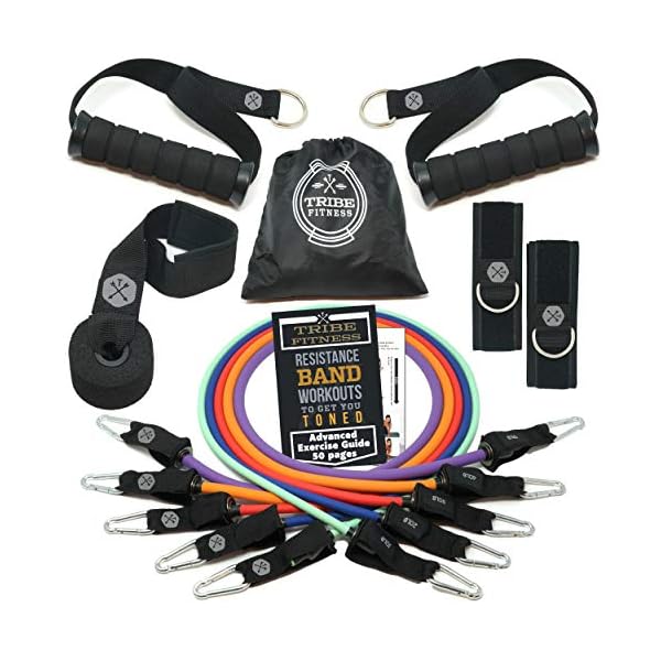 TRIBE Resistance Bands Set &Weights for Exercises Bands for Men/Women with Workout Bands, Handles, Door Anchor, Ankle Straps, Carry Bag, Exercise eBook I Resistance Training, Fitness Equipment
