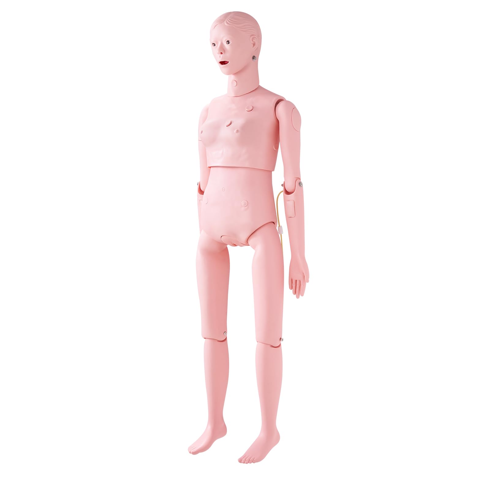 VEVOR Maniquí de Enfermería Femenino Maniquí de Cuidado del Paciente Alto de 153 cm PVC Maniquí de Entrenamiento de Enfermera Simulación Realista para Enseñanza Formación Médica de Hospital Instituto
