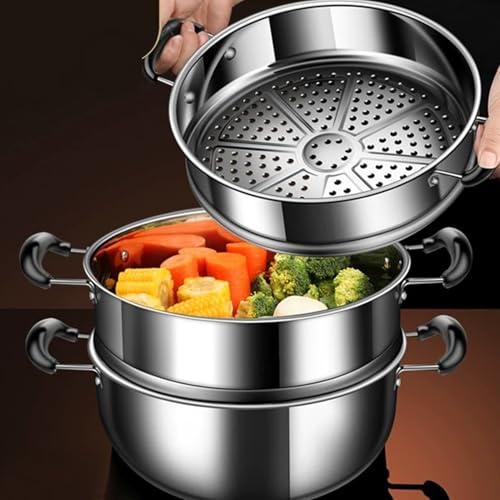 Cuiseur vapeur en acier inoxydable à diffusion thermique pour des recettes réussies