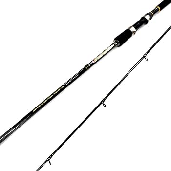 シーバス　ロッド 楽天市場】シーバスセット DESIDE SP10F＆Bayspin ZX 5000( seabassset