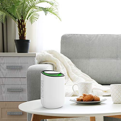 Hysure Quiet And Portable Dehumidifier Electric, Deshumidificador, Home Dehumidifier For Bathroom, Crawl Space, Bedroom, Rv, Baby Room(600Ml) … #TOP3