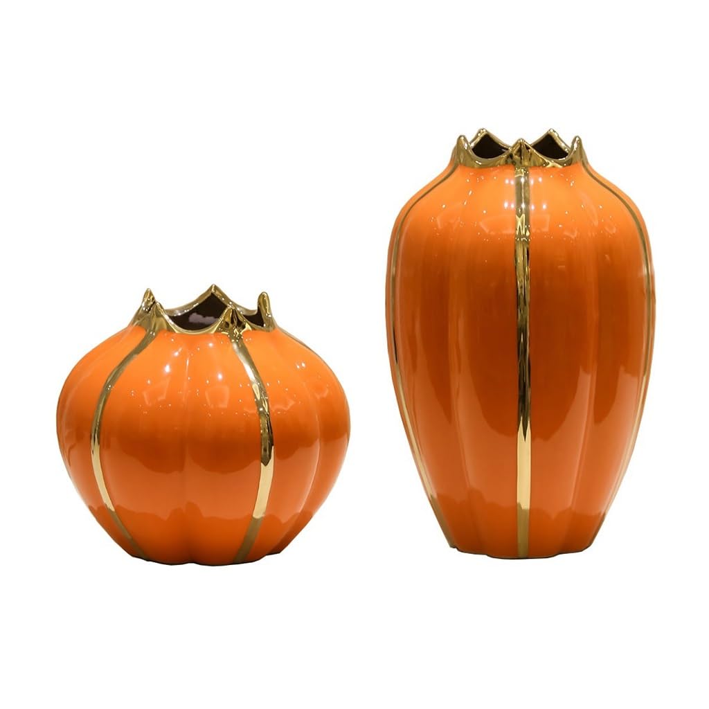 Vase en céramique moderne : paire de vases décoratifs pour fleurs séchées de salon