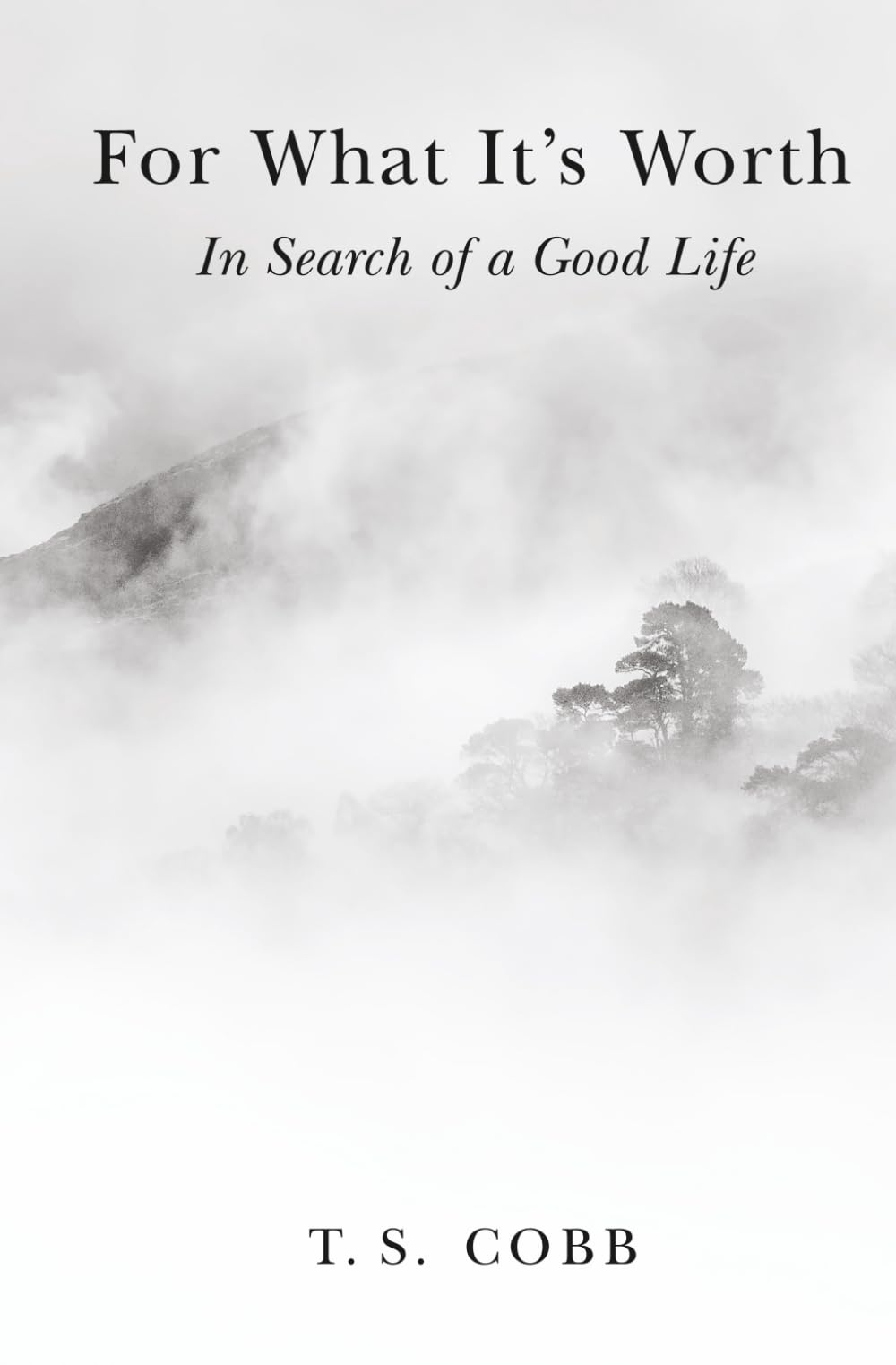 For What It's Worth: In Search of a Good Life