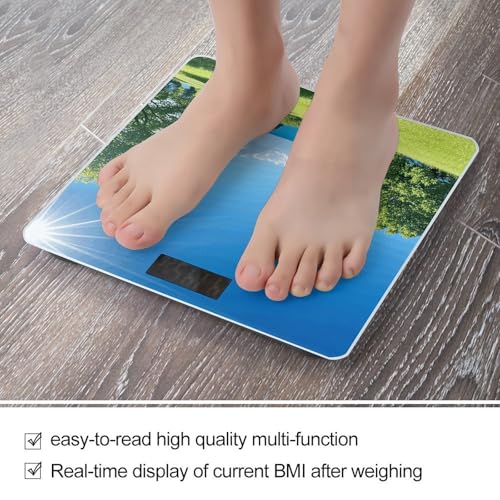 Báscula Digital de Baño con Pantalla LCD Brillante miniatura 5