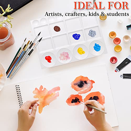 DUGATO Paint Tray Palettes 2pcs, Plastic Palettes 10x13 inches, 20-Well Mixing Tray for Mixing and Separating Colors, for Oil Watercolors & Acrylic Paints