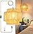 QIYIZM Plug in Pendant Light Hanging Lights with Plug in Cord Hanging Lamp Boho Rattan Dimmable Wicker Bamboo Woven Shade Hemp Rope Ceiling Light Fixture for Living Room Bedroom Kitchen