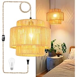 Plug in Pendant Light...