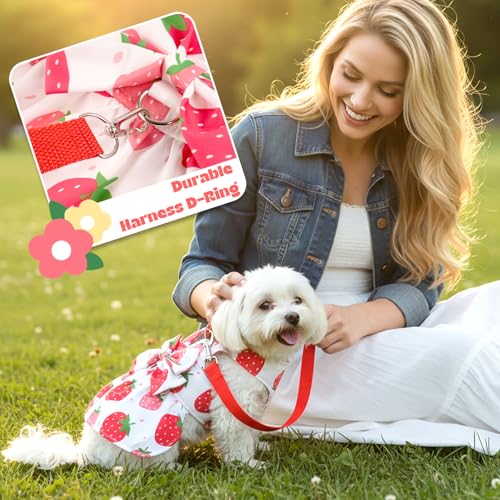 Dog Dress Harness Dresses Leash Set for Small Dogs Cute Girl Dog Clothes with Bowknot Puppy Outfits for Shih Tzu Yorkies Chihuahua - Image 4
