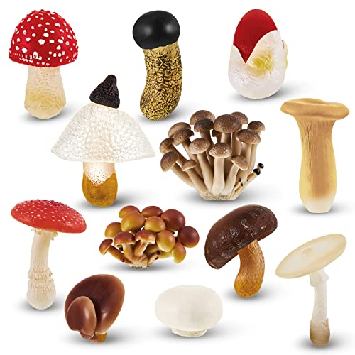 Deekin 12 Pcs Figure Mini Miniatures Figurines Mini Realistic Decor Themed Party Gifts for Diorama Projects Birthday Gift Learning (Mushroom)