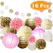 Paxcoo 16 Pcs Pink and Gold Party Supplies with Paper Lanterns and Tissue Pom Poms for 1st Baby Girl Birthday Decorations