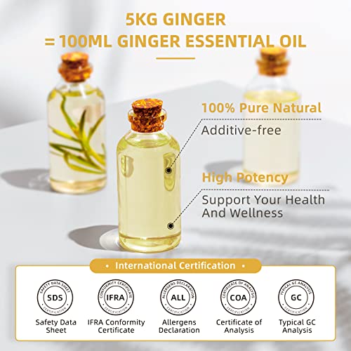 Image of HIQILI 16 Fl Oz Ginger Oil, 100% Pure Natural Ginger Essential Oil for Hair, Massage, Skin - 500ML