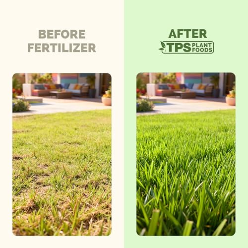 Fertilizante líquido para césped Zoysia 32 oz miniatura 3