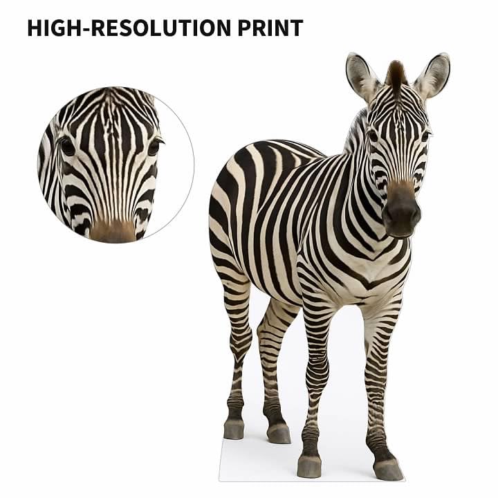 Image of Zebra 6FT Life Size Cardboard Cutout - A Fun Animal Standup for Photo Booths, Birthday Parties, and Events