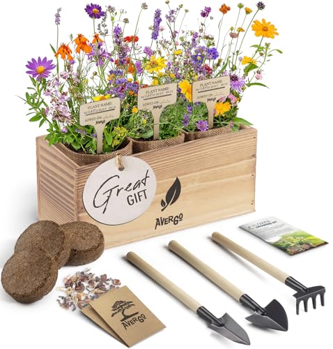 Wildflower Seed Mix Growing Kit - Includes Perennial & Annual Wil...
