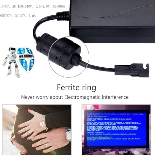 2-Pin AC DC 29V Power Adapter for FBS PSK651 Electric Transformer Fits Pride Lift Chairs CTLDC1582 Power Supply Cord Cable PS Battery Charger Mains PSU ﻿2