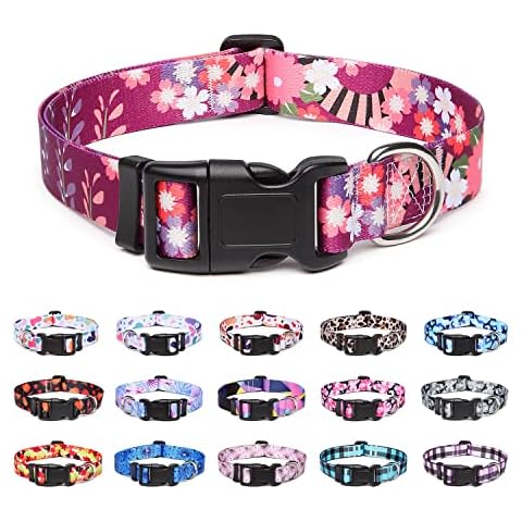 Collier Suredoo pour Chien Cover