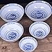 Lihuzmd Ceramic Ramen Noodle Bowls, Blue and White Porcelain Chinese Retro Dessert, Soup, Cereal, Rice, Udon, Asian Noodles Bowl,7in,2PCS
