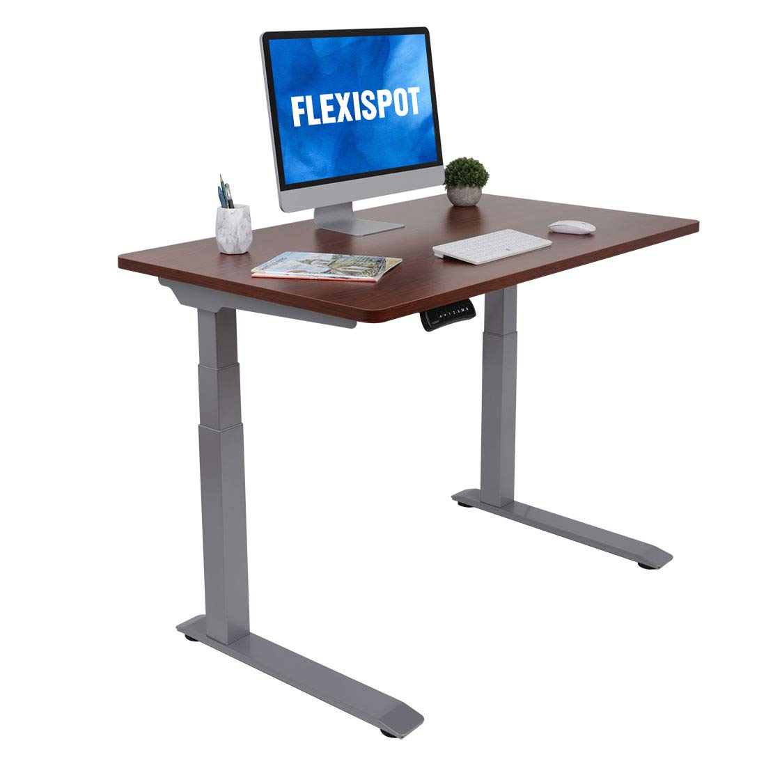 【Mint】flexispot E7 Flexispot Electric Standing Desk Workstation, 55 x 28 Inches, Dual