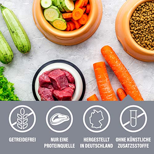 daily choice grainfree - 15 kg - Trockenfutter für Hunde - getreidefrei - Lachs mit Kartoffeln und Erbsen - Monoprotein mit Frischfleisch - Enthält Chicorée, Grünlippmuschel und wertvolle Kräuter