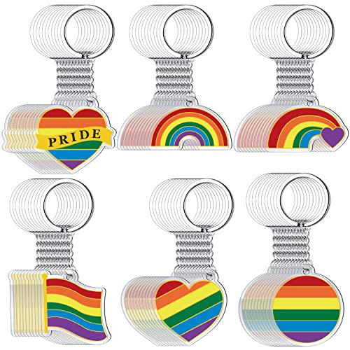 Bucherry 120 Pcs Gay Trans Pride Keychain Bulk Lgbtq Gay Gift Transgender Lesbian Pansexual Keychain Jewelry for Pride Month(Rainbow)