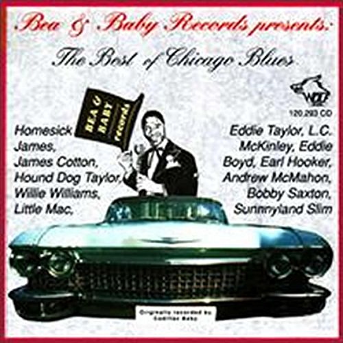 Hound Dog Taylor / My Baby's Coming Home