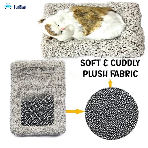 Image of FunBlast Cute Sleeping Cat Plush Toy with Meow Sound, Gift for Kids, Toy Accessories for Car Dashboard (Brown-1)