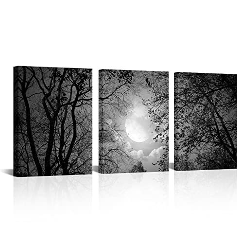 Visual Art Decor Black and White Full Moon Art