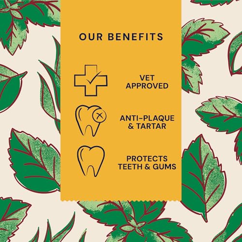 Pooch & Mutt - Superfood Dental Sticks für Hunde, Dental Sticks mit Spirulina- und Minzegeschmack für Hunde, 1 Packung mit 7 Sticks