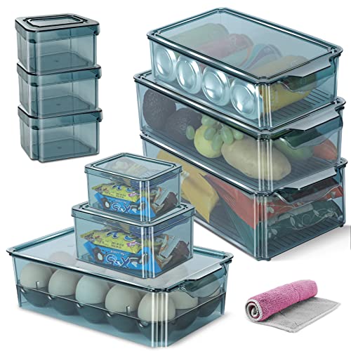 Kphico Kühlschrank-Organizer, 9-teiliges Set, transparente Lebensmittelaufbewahrungsbehälter mit Deckel, BPA-freier Kunststoff-Organizer für Obst, Gemüse, Nudeln - senden Sie ein Reinigungstuch - blau Cover