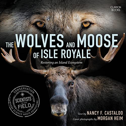 The Wolves and Moose of Isle Royale by Nancy F. Castaldo episode artwork