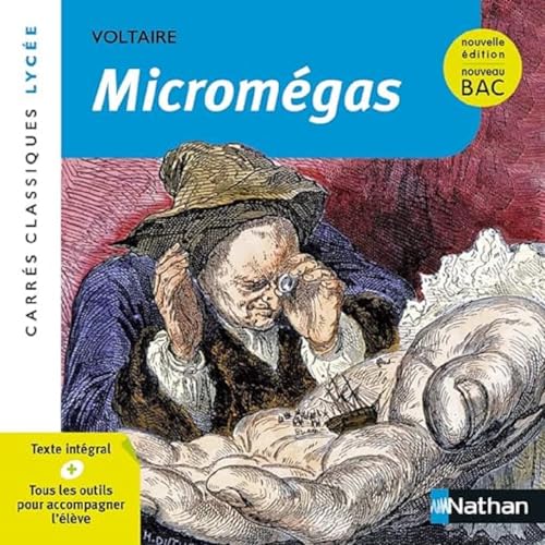  Micromégas