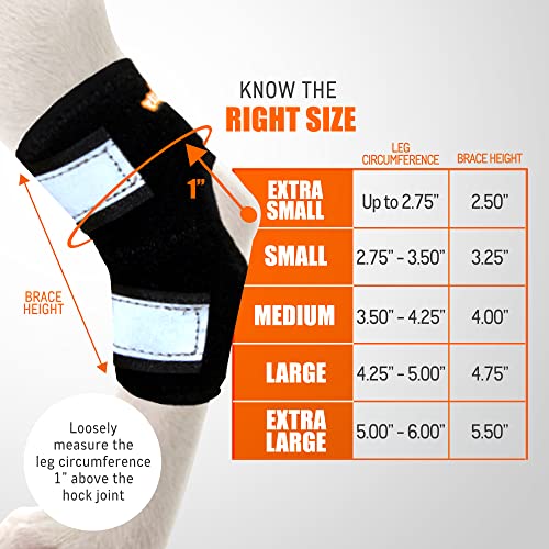 Neoally - Short Rear Leg Hock Brace, Dog Leg Brace For Rear Leg, Hock & Ankle Support, Dog Brace For Torn Acl & Ccl, Dog Leg Sleeve With Reflective Straps, Small, Black, 1 Pair #TOP3