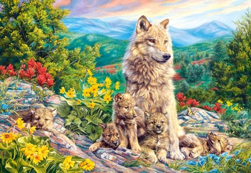 Castorland Puzzle 1000 pièces - Nouvelle génération
