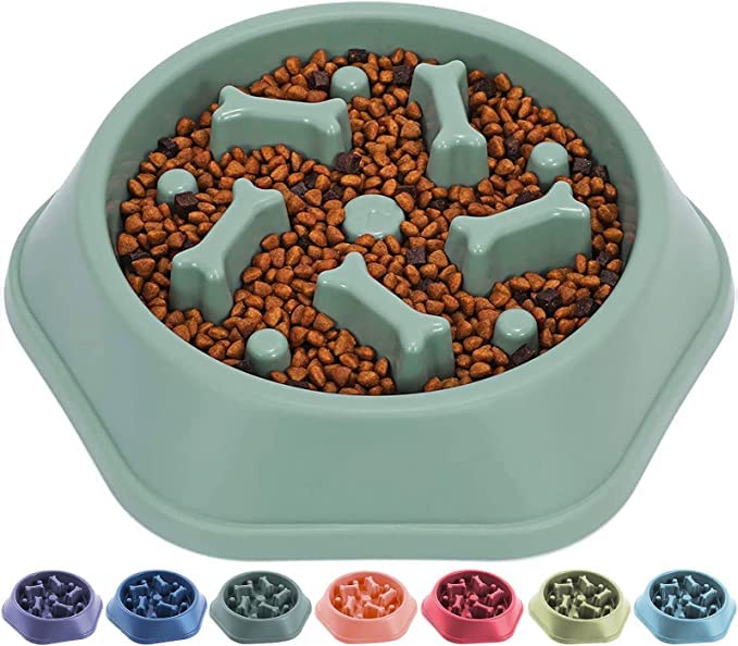 RvPaws Slow Feeding Pet Bowl, No Choking Round Feeder Bowl with Bone Pattern Interactive Treat Bowl for Dogs (Green) (B0BSFXTG13) Amazon Price History, Amazon Price Tracker
