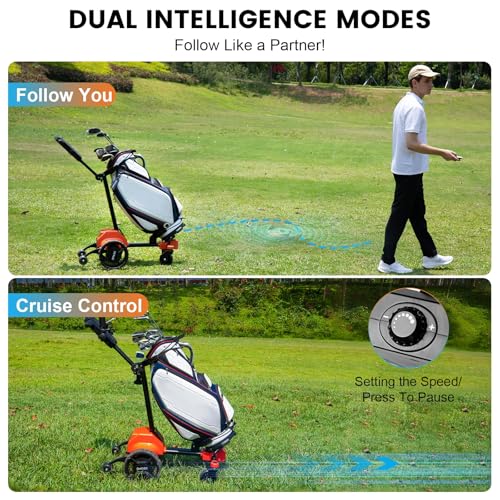 tianhong G5 Electric Golf Cart