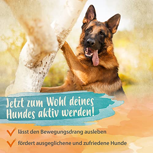 Ida Plus Gelenktabletten Plus - Gelenktabletten für Hunde - Mit Tierärzten entwickelt - Grünlippmuschel, MSM, Omega-3 & Teufelskralle unterstützen Hunde-Gelenke - Hohe Akzeptanz beim Hund - 120 Stück