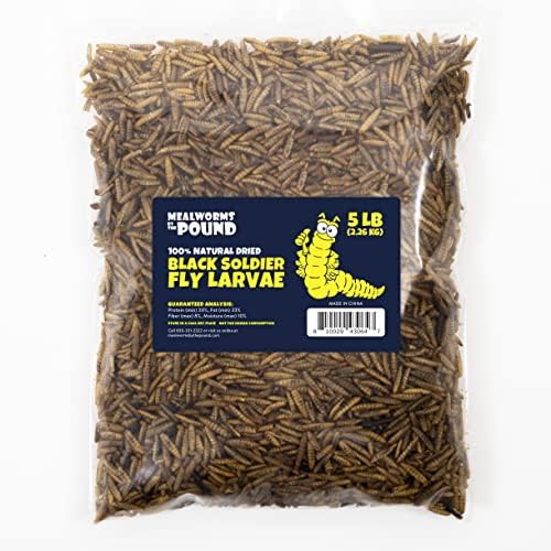 Dried Black Soldier Fly Larvae (5 lbs) - More Calcium Than Mealworms - Treats for Chickens, Wild Birds, & Reptiles