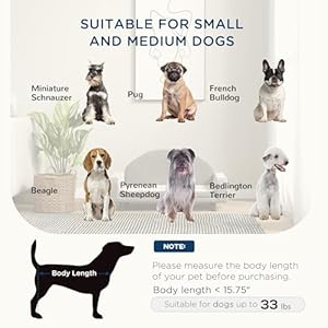   PawHut-Raised-Dog-Sofa-Elevated-Pet-Sofa-for-Small-and-Medium-Dogs-with-Soft-Cushion-Removable-Cover-Anti-Slip-Pads-Gray