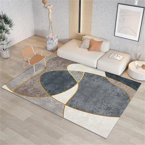 Tapis de salon minimaliste gris 90x150cm haute densité durable