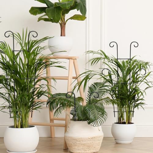 Image of Plant Trellis for Potted Plants 2p, Larger 23in Garden Trellis for Climbing Plants Indoor Outdoor, Rustproof House Plant Support Stakes for Pothos Hoya Ivy Flower
