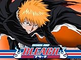 Bleach (English Dubbed) Season 4