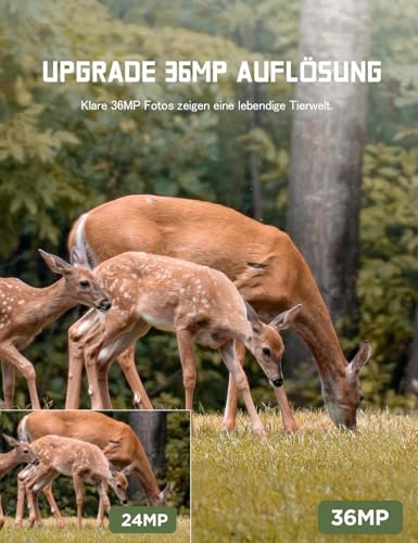 CEYOMUR Wildkamera, 2K HD Wildkamera mit Bewegungsmelder Nachtsicht, Wildtierkamera...