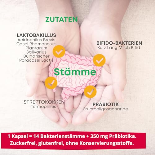 Darmbakterien Probiotika – hochdosiert – 35 Milliarden Bakterien für die Darmflora – 14 Stämme aus Bifidobakterien… – Ansicht 5