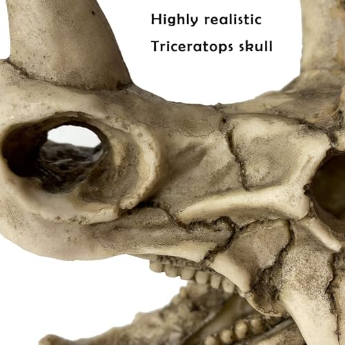 Image of kathson Large Resin Dinosaur Triceratops Skull Decor Aquarium Decoration Reptiles Hideout Fish Tank Ornament Home Landscape Decor